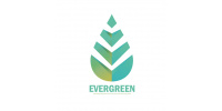 Evergreen | PURER | STYLE ON