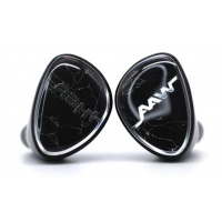 AAW Universal In-Ear Monitor 入耳式耳機 A3H+